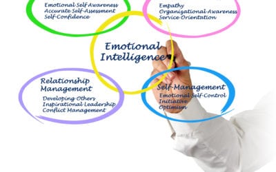 Emotional Intelligence: What is it and why do I need it?
